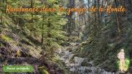 Randonnée dans les gorges de la Ronde