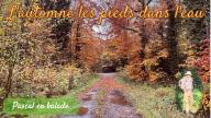 L'automne les pieds dans l'eau