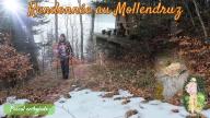 Randonnée au départ du Mollendruz