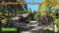 Randonnée dans le Jura et Raclette
